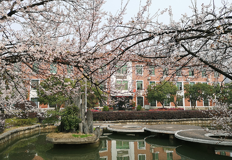 Valin HYST Is Listed On The Brand List of China's Steel and Iron Industry In 2020